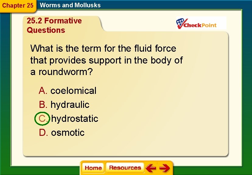Chapter 25 Worms and Mollusks 25. 2 Formative Questions What is the term for