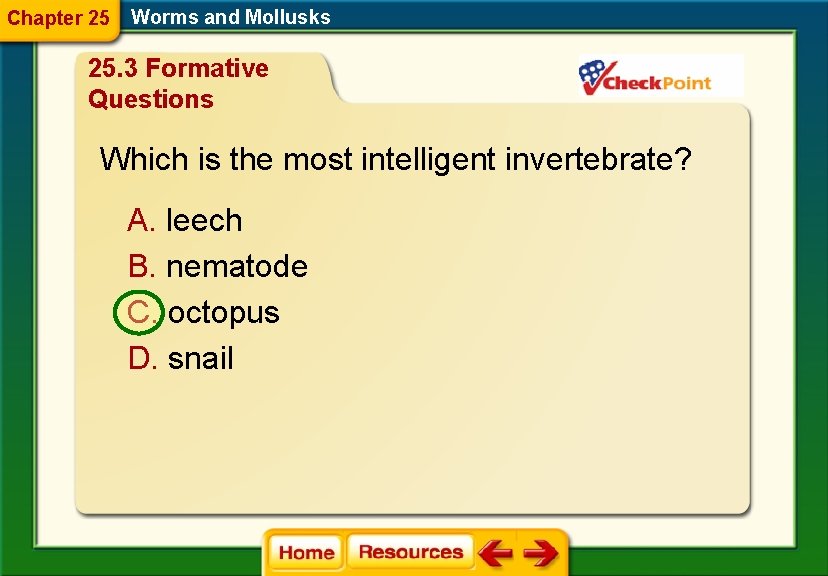 Chapter 25 Worms and Mollusks 25. 3 Formative Questions Which is the most intelligent