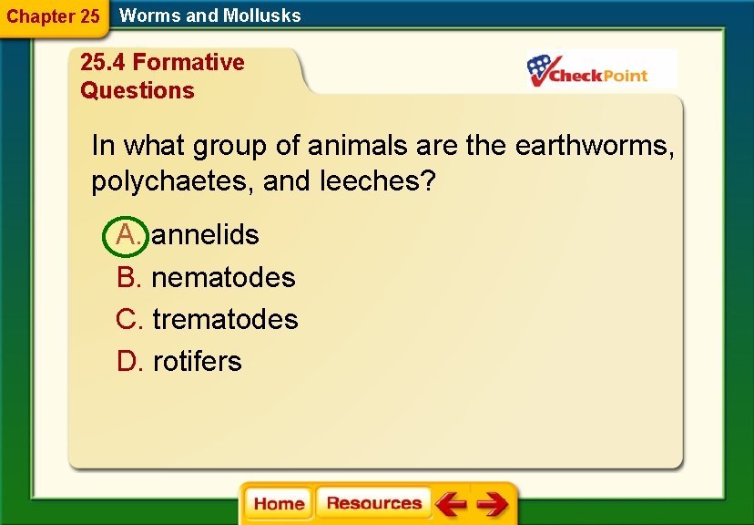Chapter 25 Worms and Mollusks 25. 4 Formative Questions In what group of animals