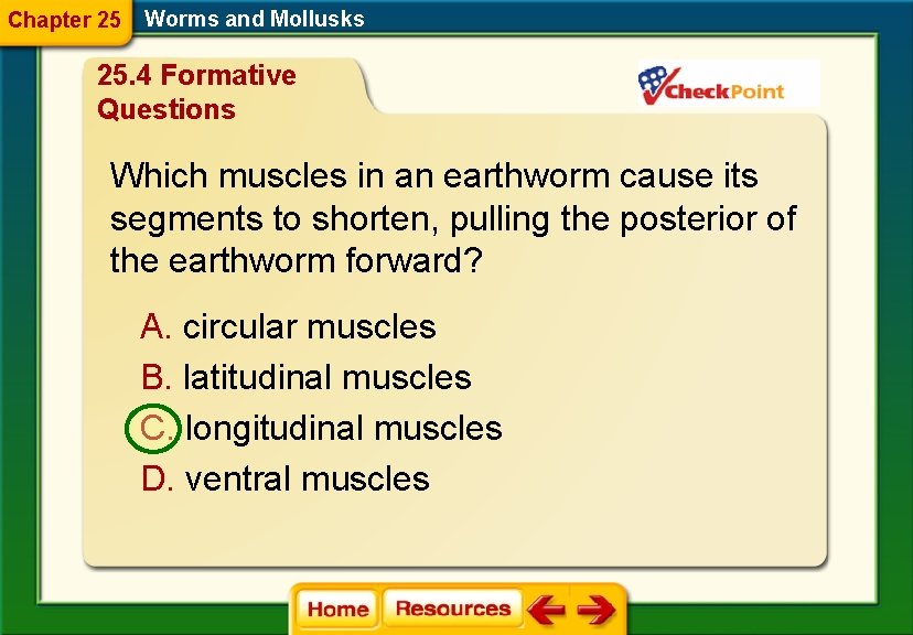 Chapter 25 Worms and Mollusks 25. 4 Formative Questions Which muscles in an earthworm