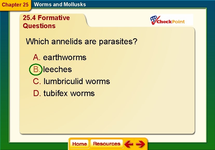 Chapter 25 Worms and Mollusks 25. 4 Formative Questions Which annelids are parasites? A.