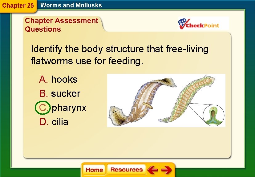 Chapter 25 Worms and Mollusks Chapter Assessment Questions Identify the body structure that free-living