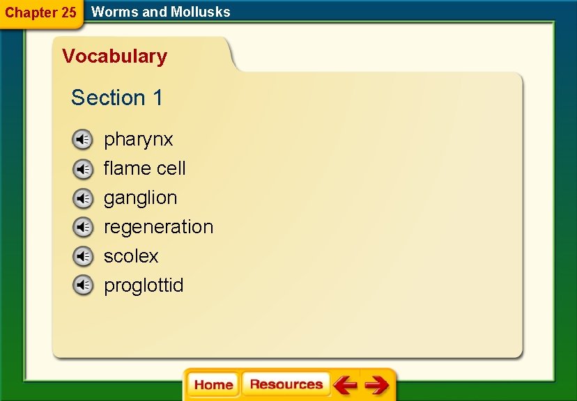 Chapter 25 Worms and Mollusks Vocabulary Section 1 pharynx flame cell ganglion regeneration scolex