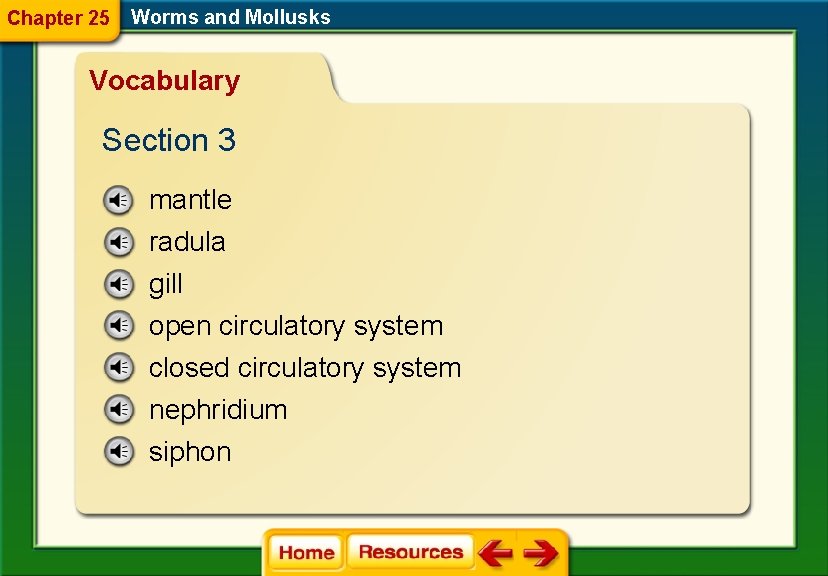 Chapter 25 Worms and Mollusks Vocabulary Section 3 mantle radula gill open circulatory system