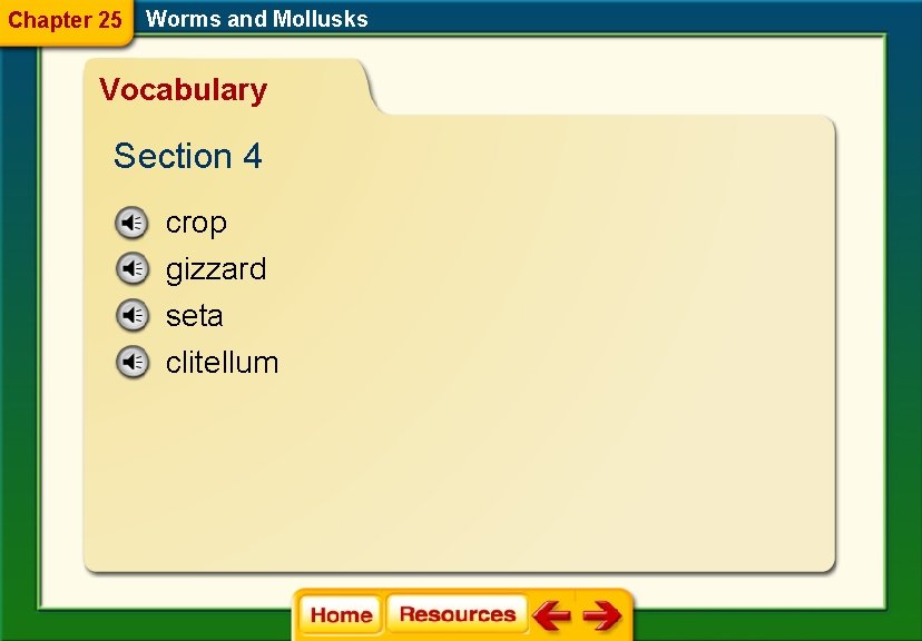 Chapter 25 Worms and Mollusks Vocabulary Section 4 crop gizzard seta clitellum 