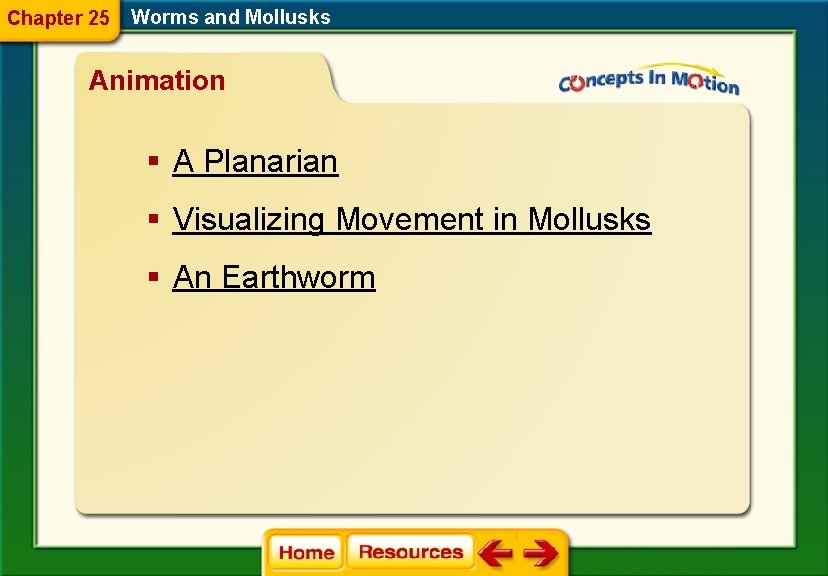 Chapter 25 Worms and Mollusks Animation § A Planarian § Visualizing Movement in Mollusks