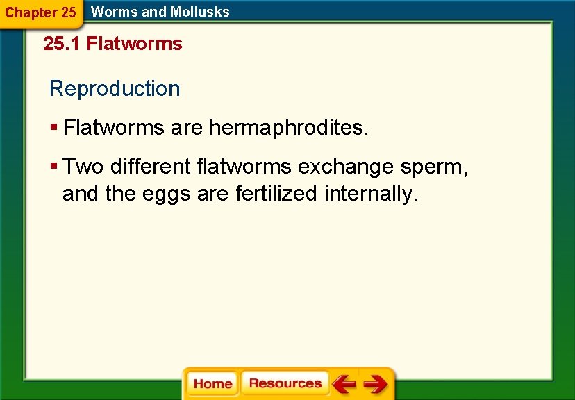 Chapter 25 Worms and Mollusks 25. 1 Flatworms Reproduction § Flatworms are hermaphrodites. §