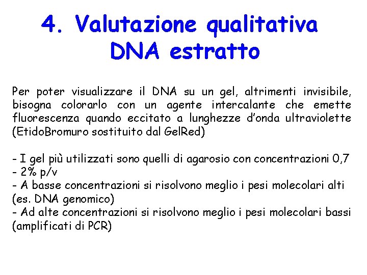 4. Valutazione qualitativa DNA estratto Per poter visualizzare il DNA su un gel, altrimenti