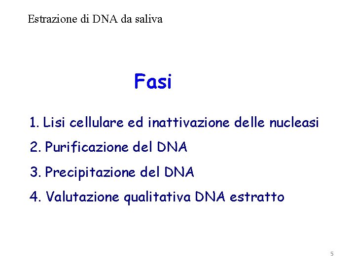 Estrazione di DNA da saliva Fasi 1. Lisi cellulare ed inattivazione delle nucleasi 2.