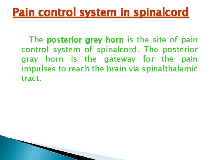 Pain control system in spinalcord The posterior grey horn is the site of pain