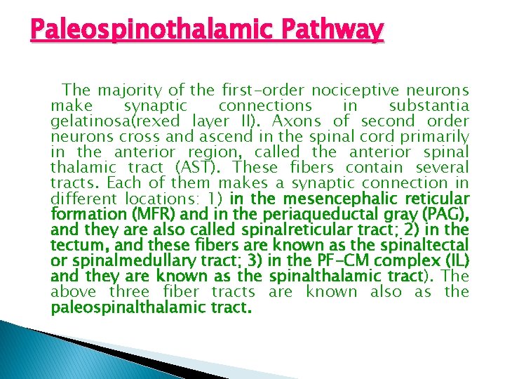 Paleospinothalamic Pathway The majority of the first-order nociceptive neurons make synaptic connections in substantia