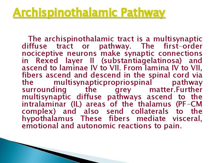 Archispinothalamic Pathway The archispinothalamic tract is a multisynaptic diffuse tract or pathway. The first-order