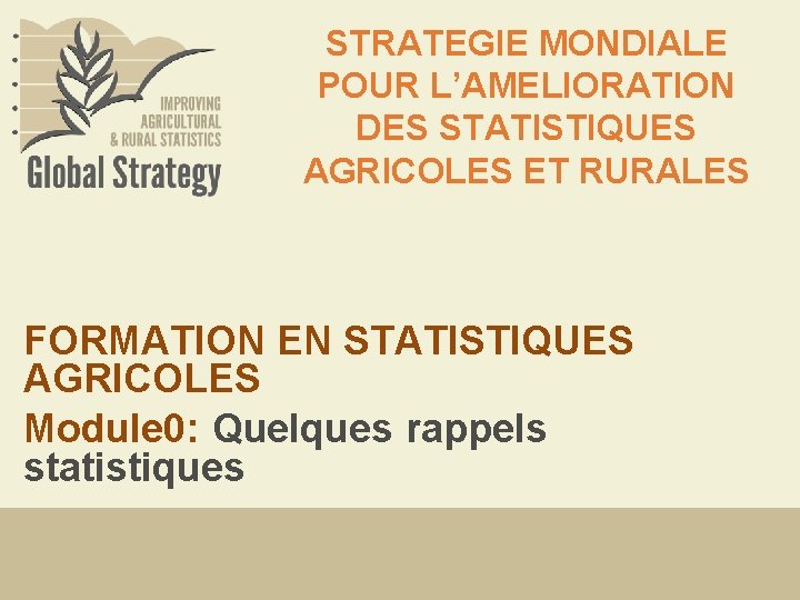 STRATEGIE MONDIALE POUR L’AMELIORATION DES STATISTIQUES AGRICOLES ET RURALES FORMATION EN STATISTIQUES AGRICOLES Module