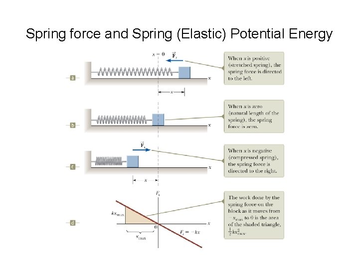 Spring force and Spring (Elastic) Potential Energy 