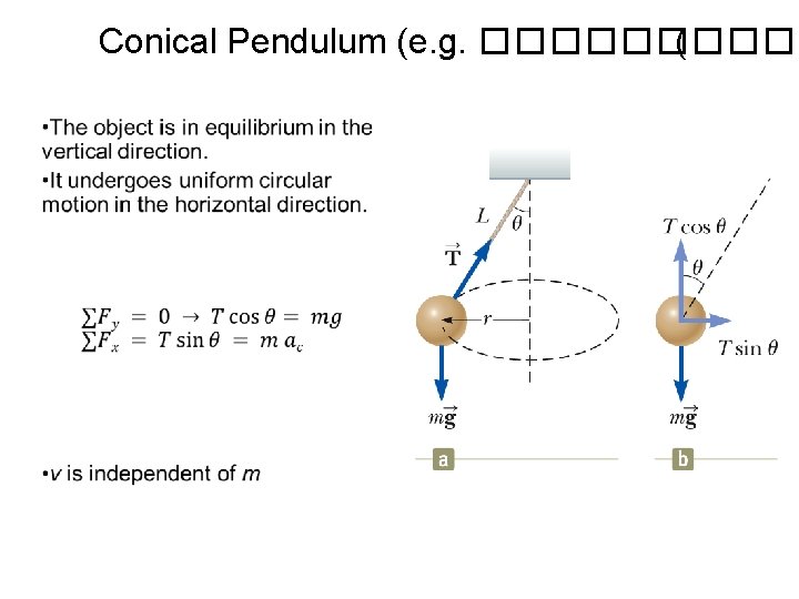 Conical Pendulum (e. g. ����� ( • 