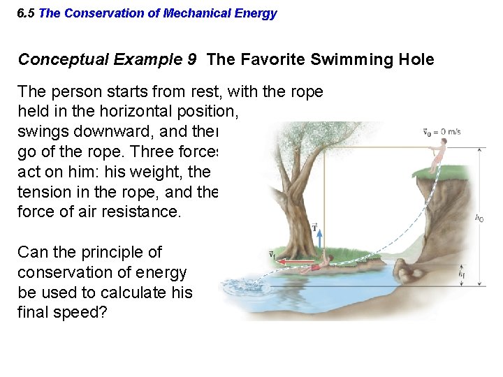 6. 5 The Conservation of Mechanical Energy Conceptual Example 9 The Favorite Swimming Hole