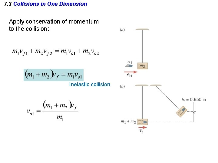 7. 3 Collisions in One Dimension Apply conservation of momentum to the collision: Inelastic