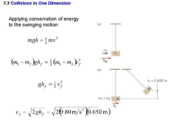 7. 3 Collisions in One Dimension Applying conservation of energy to the swinging motion: