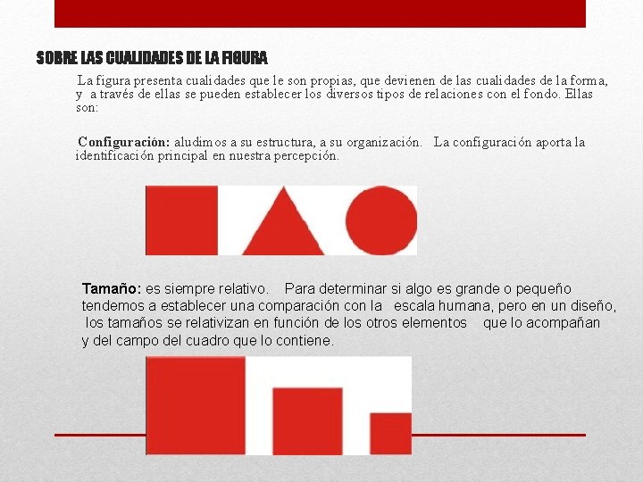 SOBRE LAS CUALIDADES DE LA FIGURA La figura presenta cualidades que le son propias,