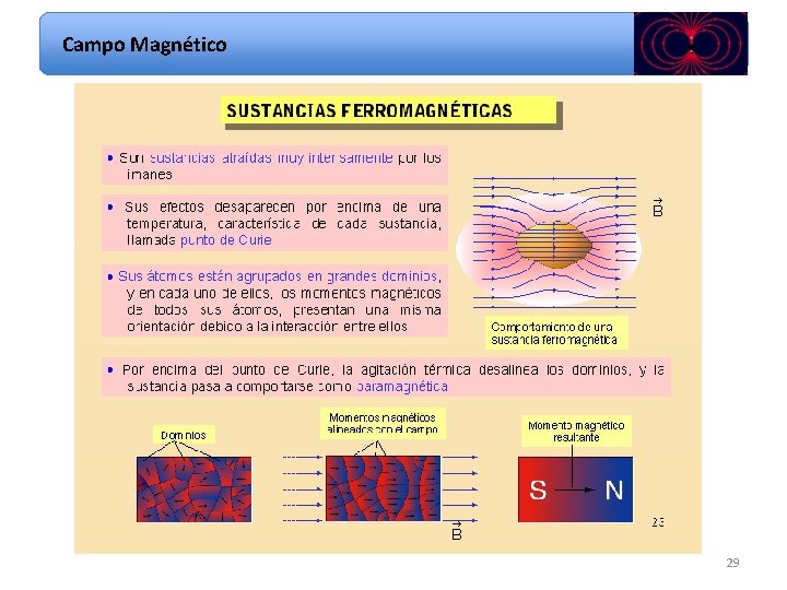 Campo Magnético 29 