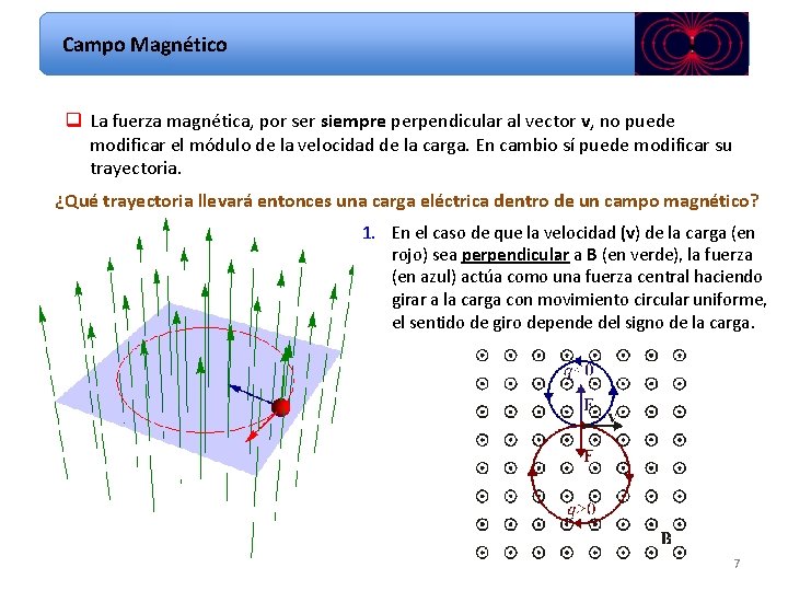 Campo Magnético q La fuerza magnética, por ser siempre perpendicular al vector v, no