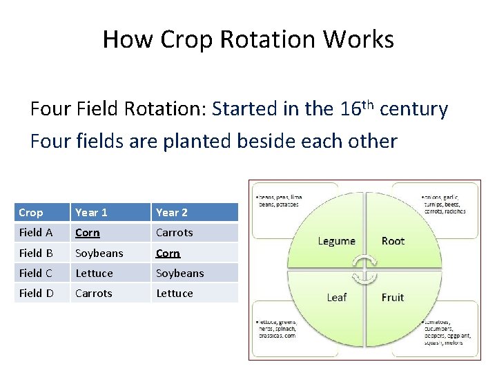 How Crop Rotation Works Four Field Rotation: Started in the 16 th century Four