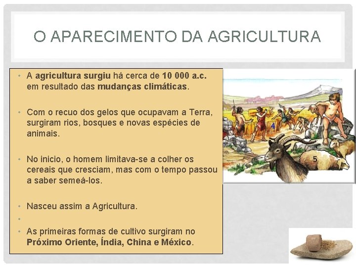 O APARECIMENTO DA AGRICULTURA • A agricultura surgiu há cerca de 10 000 a.