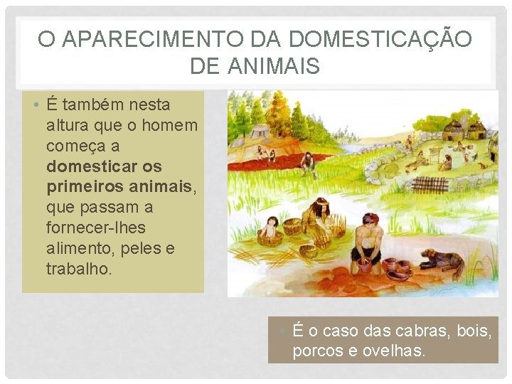 O APARECIMENTO DA DOMESTICAÇÃO DE ANIMAIS • É também nesta altura que o homem