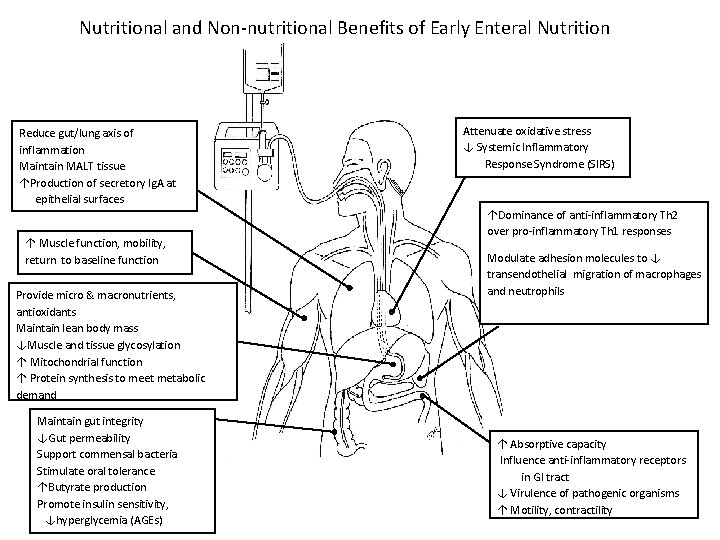 Nutritional and Non-nutritional Benefits of Early Enteral Nutrition Reduce gut/lung axis of inflammation Maintain