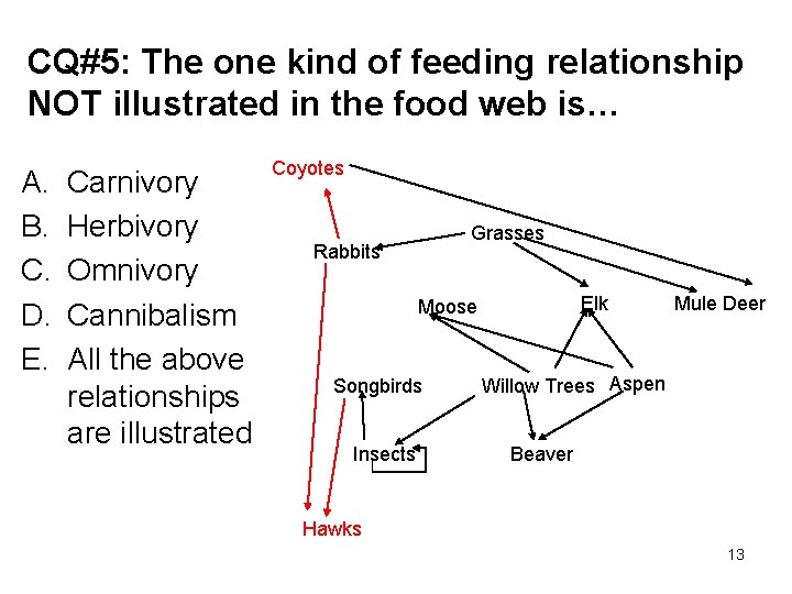 CQ#5: The one kind of feeding relationship NOT illustrated in the food web is…