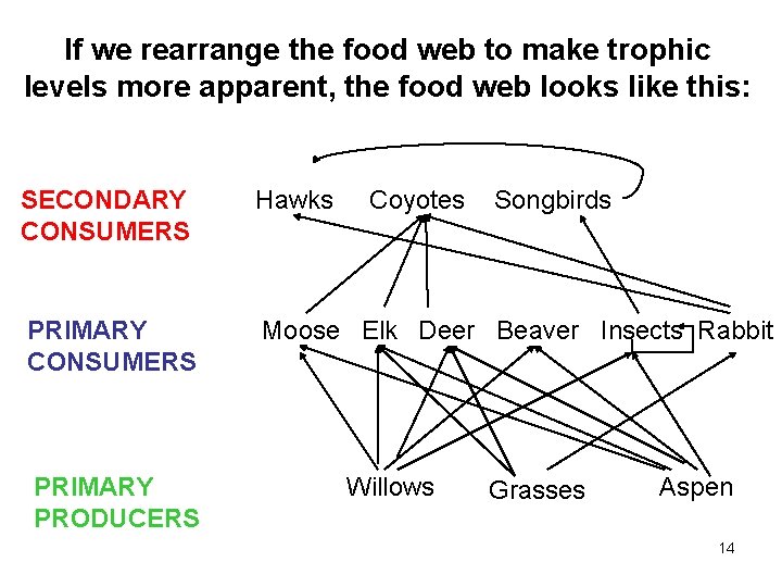 If we rearrange the food web to make trophic levels more apparent, the food