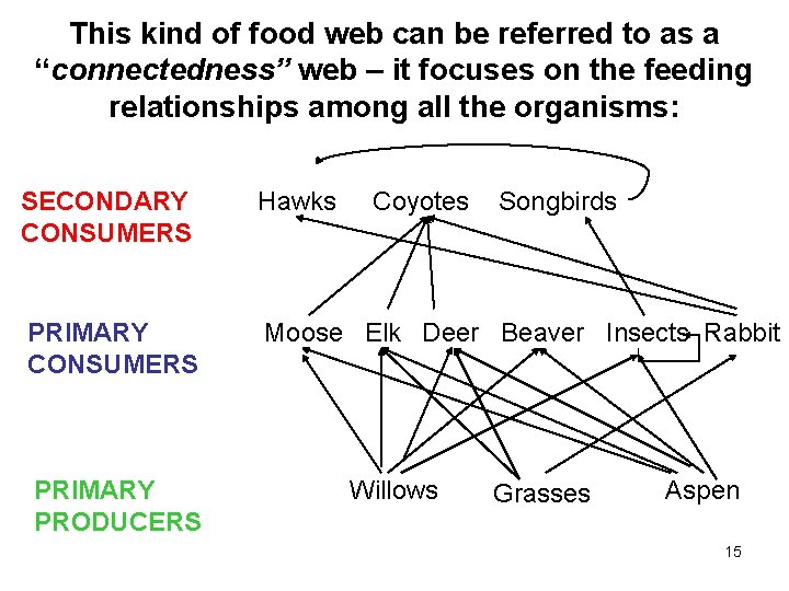 This kind of food web can be referred to as a “connectedness” web –