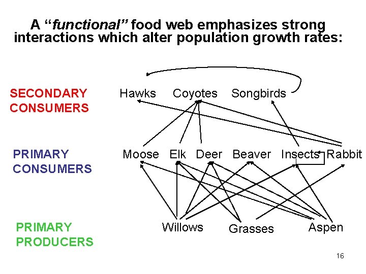 A “functional” food web emphasizes strong interactions which alter population growth rates: SECONDARY CONSUMERS