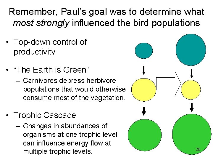 Remember, Paul’s goal was to determine what most strongly influenced the bird populations •