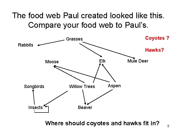 The food web Paul created looked like this. Compare your food web to Paul’s.