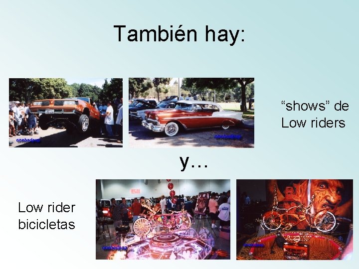 También hay: “shows” de Low riders y… Low rider bicicletas 