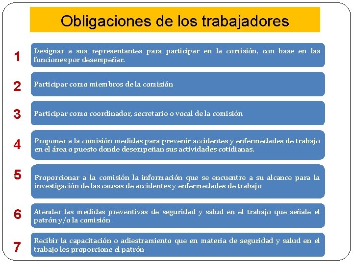 Obligaciones de los trabajadores 1 Designar a sus representantes para participar en la comisión,