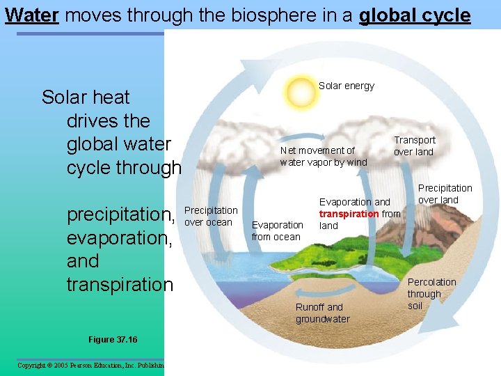 Water moves through the biosphere in a global cycle Solar energy Solar heat drives