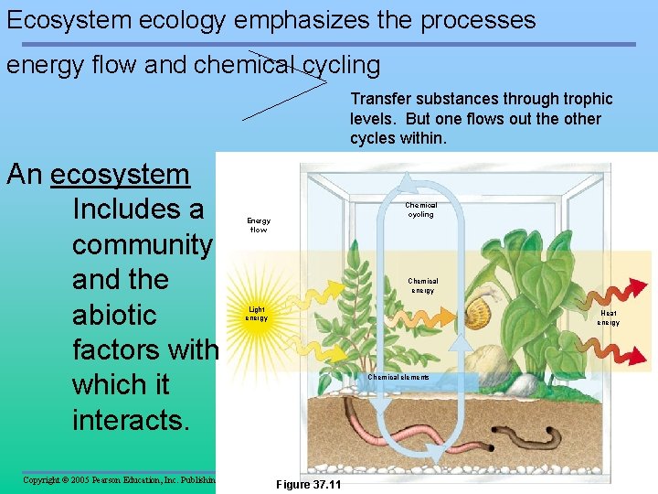 Ecosystem ecology emphasizes the processes energy flow and chemical cycling Transfer substances through trophic