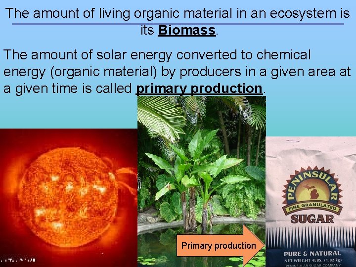 The amount of living organic material in an ecosystem is its Biomass. The amount