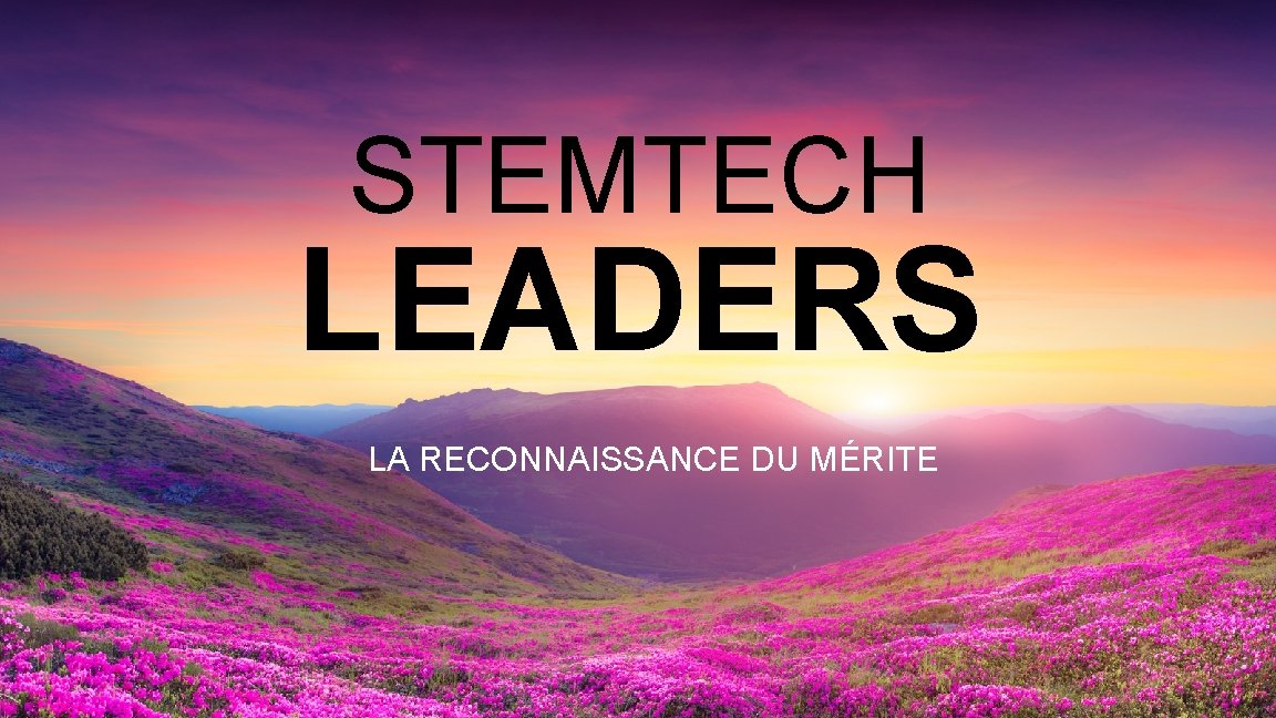 STEMTECH LEADERS LA RECONNAISSANCE DU MÉRITE 