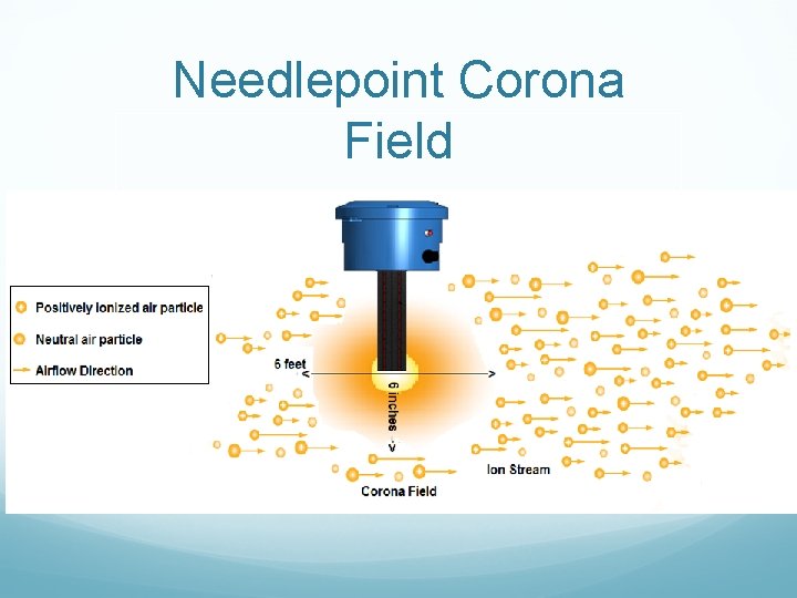 Needlepoint Corona Field 