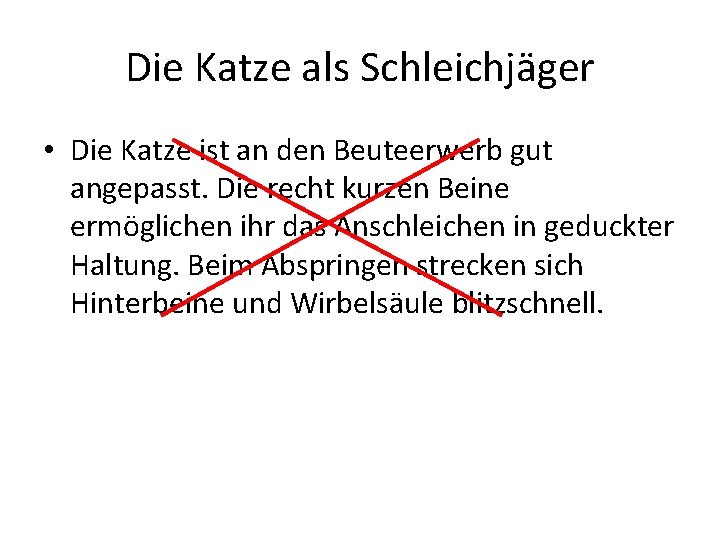 Die Katze als Schleichjäger • Die Katze ist an den Beuteerwerb gut angepasst. Die