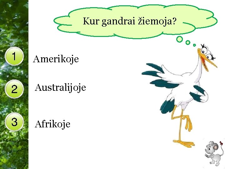 Kur gandrai žiemoja? Amerikoje Australijoje Afrikoje Free Powerpoint Templates 