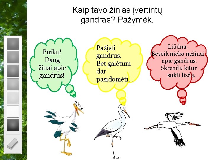 Kaip tavo žinias įvertintų gandras? Pažymėk. Puiku! Daug žinai apie gandrus! Pažįsti gandrus. Bet