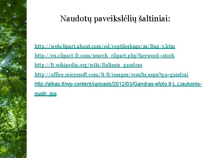 Naudotų paveikslėlių šaltiniai: http: //webclipart. about. com/od/reptilesbugs/ss/Bug-3. htm http: //en. clipart-fr. com/search_clipart. php? keyword=stork