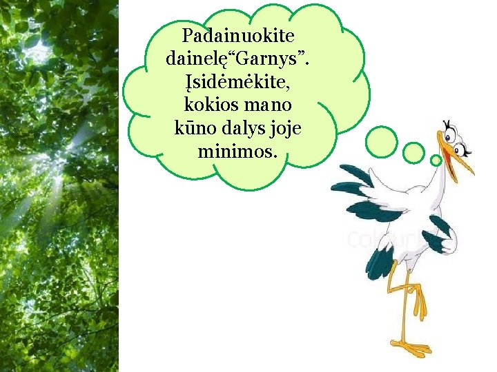 Padainuokite dainelę“Garnys”. Įsidėmėkite, kokios mano kūno dalys joje minimos. Free Powerpoint Templates 