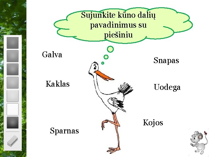 Sujunkite kūno dalių pavadinimus su piešiniu Galva Snapas Kaklas Uodega Sparnas Free Powerpoint Templates