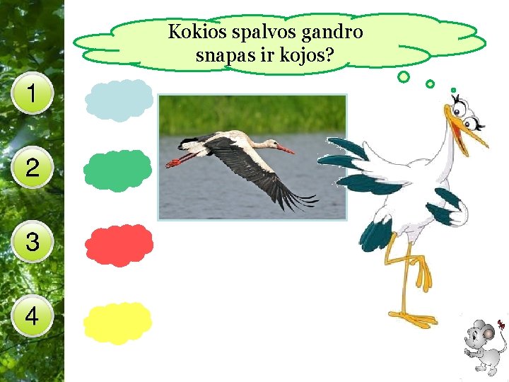 Kokios spalvos gandro snapas ir kojos? Free Powerpoint Templates 