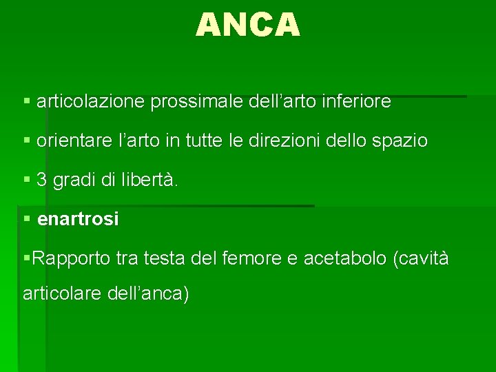 ANCA § articolazione prossimale dell’arto inferiore § orientare l’arto in tutte le direzioni dello